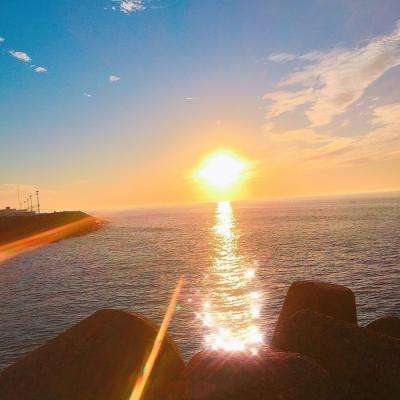 hth·华体育APPapp下载