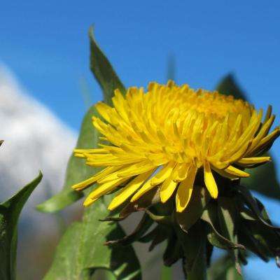 棋牌游戏下载手机版