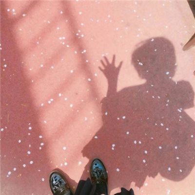 火博体育全站下载版